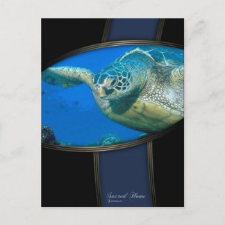 CARTÃO POSTAL SACRED HONU