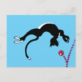 Cartão Postal Sacudir de gatos