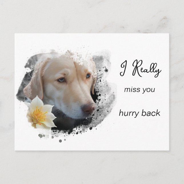 Cartão Postal *~ Sad Dog AP61 Flor Miss You Hurry (Frente)