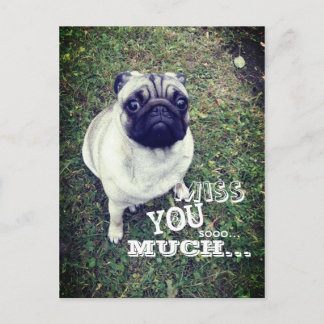 Cartão Postal Sad Pug