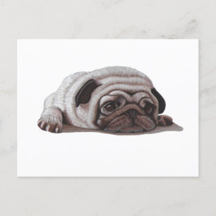 Cartão Postal Sad Pug