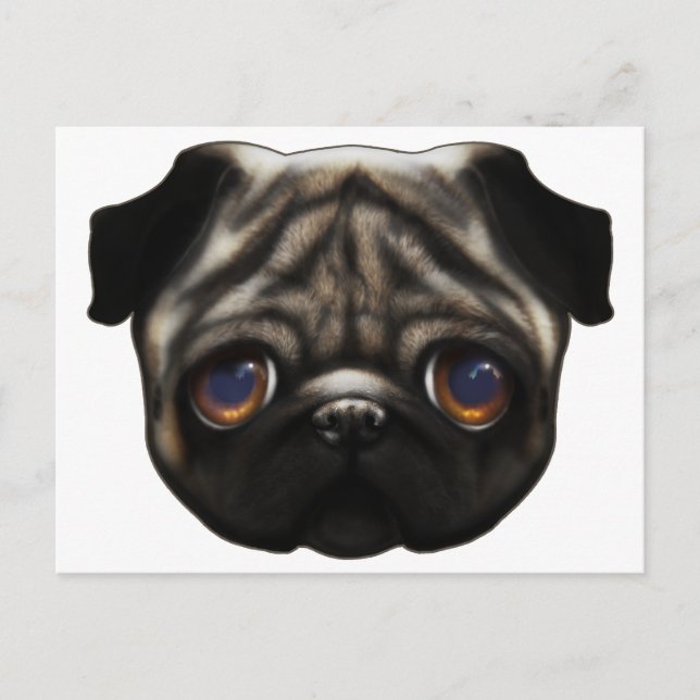 Cartão postal Sad Pug (Frente)
