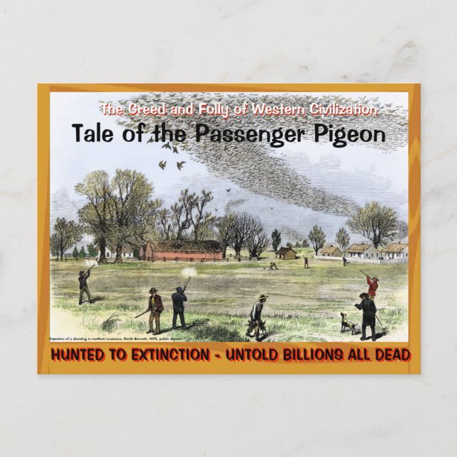 Cartão Postal Sad Sad Tale of the Passenger Pigeon —~ (Frente)