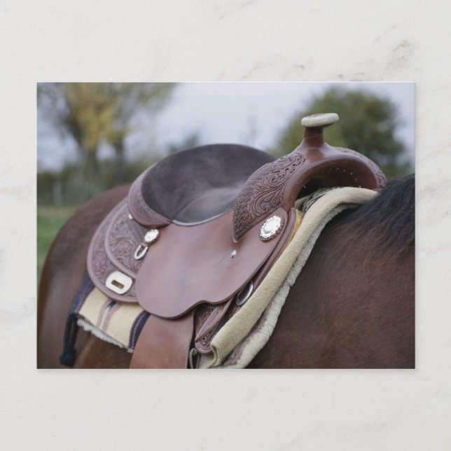 Cartão Postal Saddle em um Cavalo (Frente)