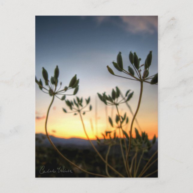 Cartão Postal Saddle Rock Sunset (Frente)