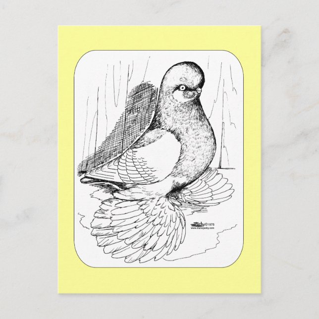 Cartão Postal Saddle Tumbler Malgado 1978 (Frente)