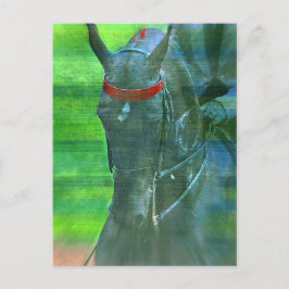 Cartão Postal Saddlecriado Americano