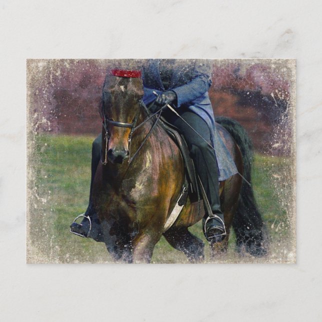 Cartão Postal Saddleseat (Frente)