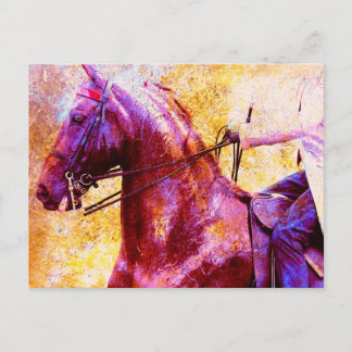 Cartão Postal Saddleseat Grunge