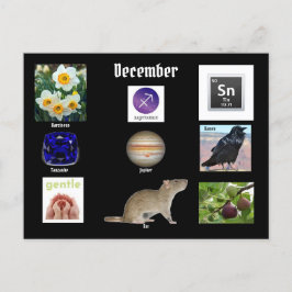 Cartão Postal Sagittarius Dezembro Nascimento Mês POSTCARD