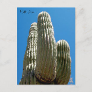 Cartão postal Saguaro