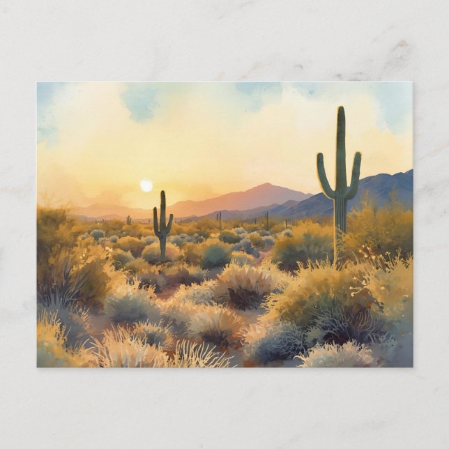 Cartão Postal Saguaro Cactus Desert Sunset (Frente)