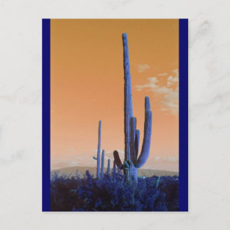 Cartão Postal Saguaro em azul