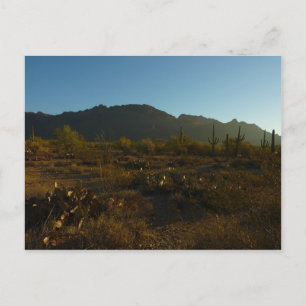 Cartão Postal Saguaro Sunrise no Parque Nacional de Saguaro