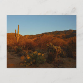 Cartão Postal Saguaro Sunset I Arizona Desert Landscape
