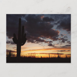 Cartão Postal Saguaro Sunset III Arizona Desert Landscape