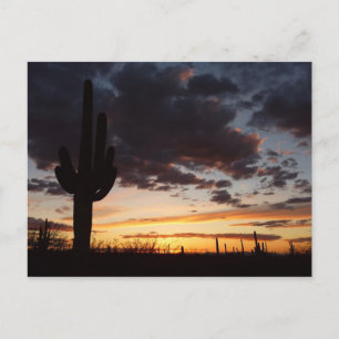 Cartão Postal Saguaro Sunset III Arizona Desert Landscape