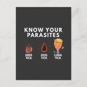 Cartão Postal Saiba que vocês são parasitas Humor Anti-Trump Pol