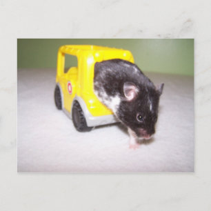 Cartão Postal saída de emergência Noah