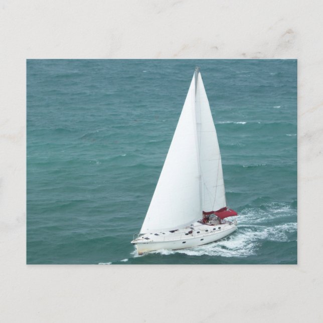 Cartão Postal Sailboat Postcard (Frente)