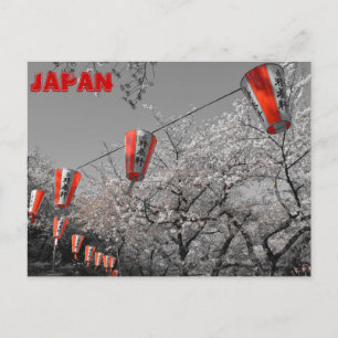 Cartão postal Sakura 2014