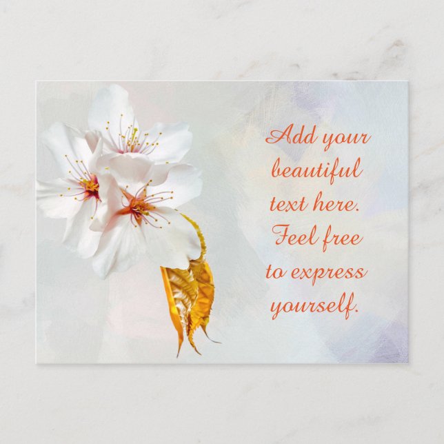 Cartão Postal Sakura - cereja japonesa floresce (Frente)