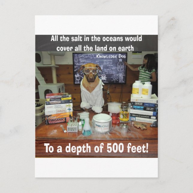 Cartão Postal Sal de Cachorro Conhecido nos Oceanos (Frente)