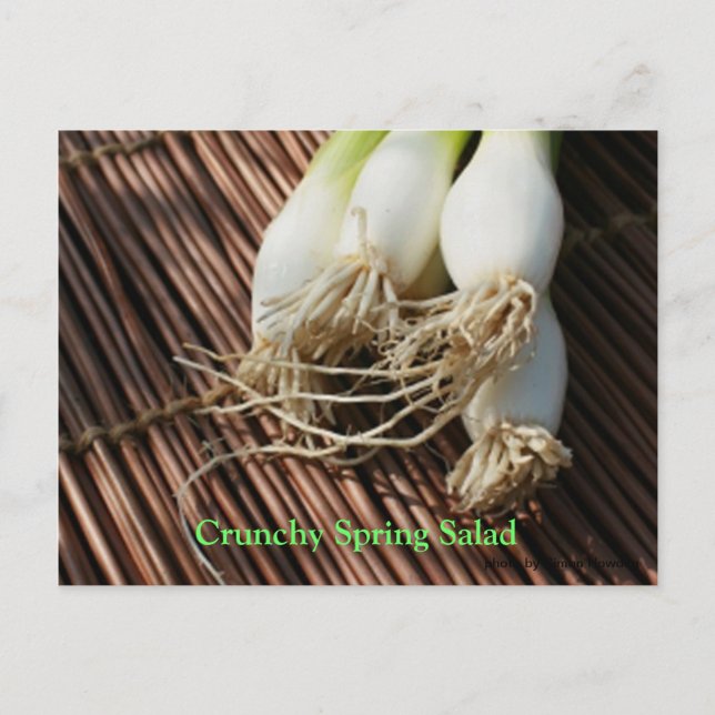 Cartão Postal Salada de Primavera (Frente)
