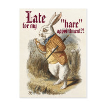 Salão de Cabelo "Lebre" do Coelho Branco Caudível 