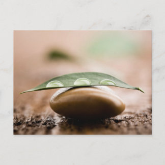 Cartão postal Saldo