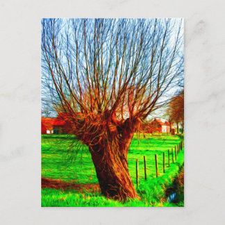Cartão Postal salgueiro na tradicional paisagem flamenga