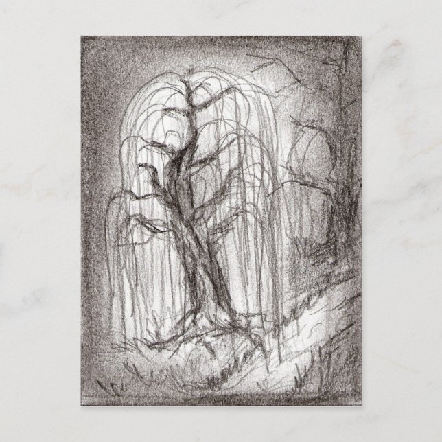 Cartão Postal Salgueiro Weeping (Frente)