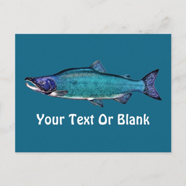 Cartão Postal Salmão cianoico (Frente)