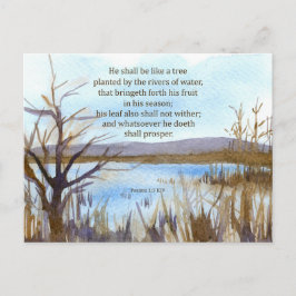 Cartão Postal Salmo 1 Escritura Versículo Bíblico Deserto Lago M