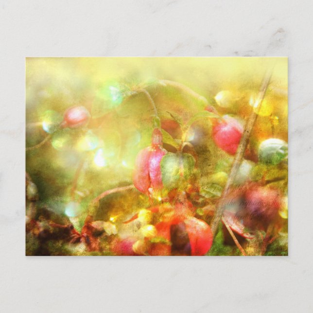 Cartão Postal Salmo 37 (Frente)