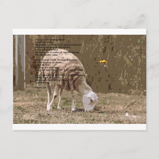 Cartão Postal Salmos 23 (Frente)