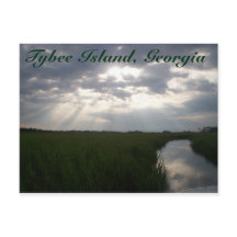 Salt Marsh | Tybee Island, GA