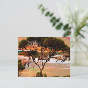Cartão Postal "Saltos costeiros: cangurus na margem do petróleo"