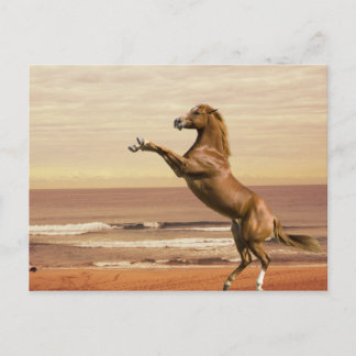 Cartão Postal Salute à Manhã