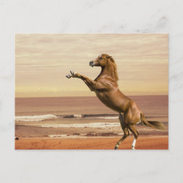 Cartão Postal Salute à Manhã