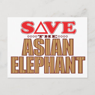 Cartão Postal Salvamento de Elefante Asiático