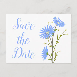 Cartão Postal Salvar a Data Floral Azul Flor de Margarida Engaja