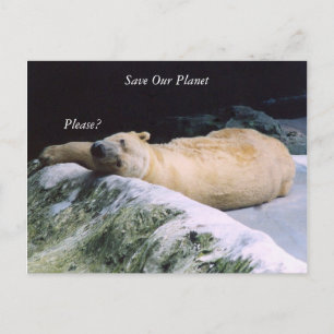 Cartão Postal Salvar a placa posta do Urso Polar da série Plane