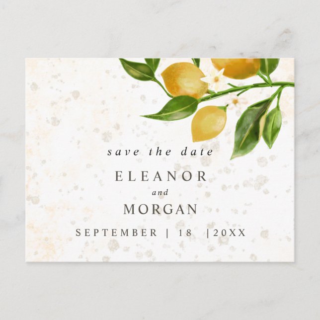 Cartão Postal Salvar o casamento dos limões expelidos (Frente)