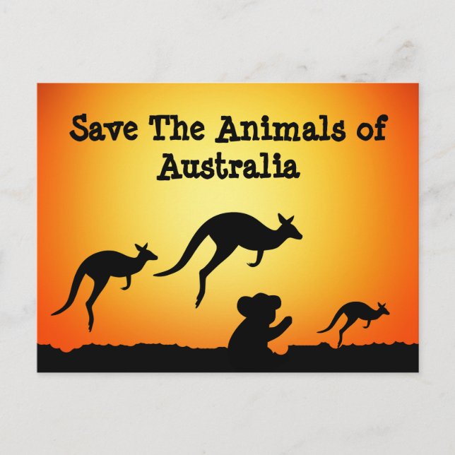 Cartão Postal Salvar os animais da Austrália (Frente)