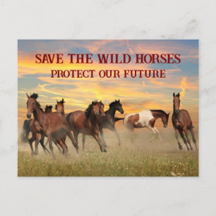 Cartão Postal Salvar os cavalos selvagens