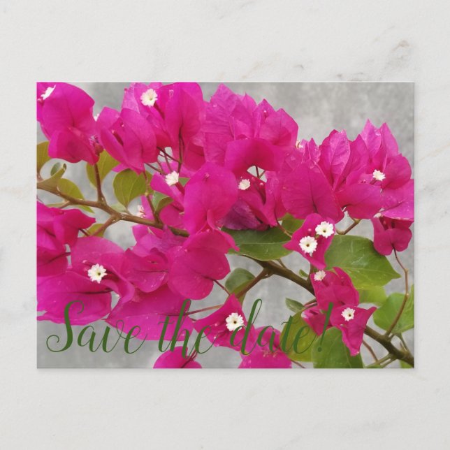 Cartão Postal Salve a data! (Frente)