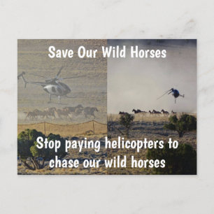 Cartão Postal Salve nossa campanha de cavalos selvagens