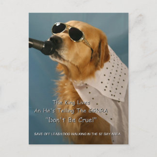 Cartão Postal Salve o Cachorro Desligado Andando pelo Congressis