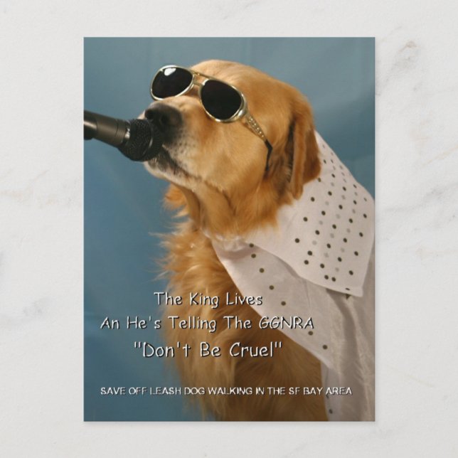 Cartão Postal Salve o Cachorro Desligado Andando pelo Congressis (Frente)